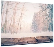 Obraz - Widok na las (70x50 cm)