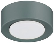 Argon 8917 - Lampa sufitowa ELORA 1x GX53/7W/230V, średnica 11 cm, szara
