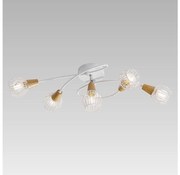 Prezent 27506 - Żyrandol natynkowy TAMETA 5xE14/40W/230V