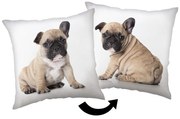 Poduszka dziecięca 40x40 cm Bulldog – Jerry Fabrics