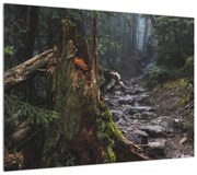 Obraz - W lesie (70x50 cm)