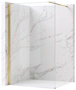 Kabina prysznicowa Walk-In Rea Flexi Transparent / Gold 70