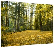 Obraz - las jesienią (70x50 cm)