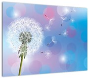 Obraz - Dmuchawiec na wietrze (70x50 cm)