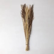 Bukiet Suszonych Kwiatów Grostic Kolory Naturalne - Sklum