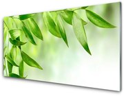 Panel Szklany Zielone Liście Natura
