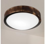 Brilagi - Lampa sufitowa CARVALHO SLIM SMOKEY 1xE27/60W/230V dąb śr. 27,5 cm