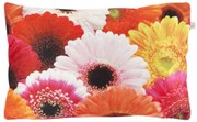 Dekoracyjna poszewka na poduszkę SAMARA GERBERA 30x50 cm, kolorowy
