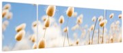 Obraz - Złote pole (170x50 cm)