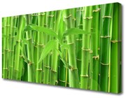 Obraz na Płótnie Bambus Łodyga Kwiat Roślina