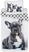 Jerry Fabrics Dziecięca pościel bawełniana Bulldog, 140 x 200 cm, 70 x 90 cm