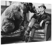 Obraz - Cyrk (70x50 cm)