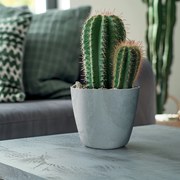 Donica Mate Beton Effect 35 cm beton PROSPERPLAST