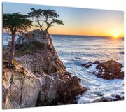 Obraz - Wybrzeże Pacyfiku (70x50 cm)