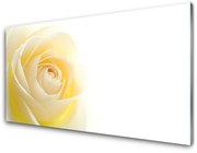 Panel Szklany Róża Kwiat Roślina Natura