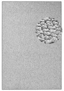 Szary dywan 160x240 cm Wolly – BT Carpet
