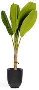 Sztuczna palma (wysokość 160 cm) Baa – Kave Home