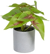 Sztuczna roślina (wysokość 20 cm) Syngonium – Ixia