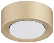 Argon 8903 - Oprawa sufitowa ELORA 1xGX53/7W/230V śr. 11 cm złota