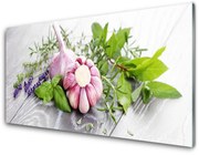 Panel Szklany Czosnek Zioła do Kuchni