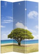 Parawan - Plaża z drzewem (126x170 cm)
