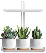 Ściemnialna lampa stołowa LED do uprawy roślin VERDI LED/12W/230V 4500K