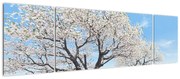 Obraz drzew (170x50 cm)
