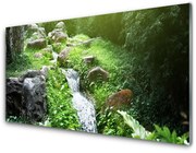 Panel Kuchenny Potok Trawy Natura Roślina