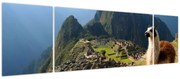 Obraz - Lama i Machu Picchu (170x50 cm)