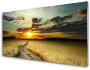 Panel Szklany Dróżka Pole Krajobraz