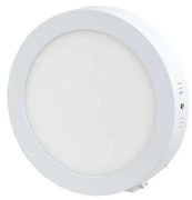 LED Plafon LED/12W/230V