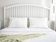 Klasyczna poduszka Aloe Vera II 50x70 cm 50x70 cm