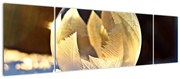 Obraz zamrożonej bańki (170x50 cm)