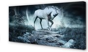 Zdjęcie na płótnie Jednorożec w Lesie przy Księżycu