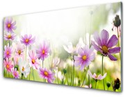 Panel Szklany Kwiaty Roślina Przyroda
