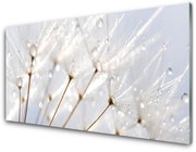 Panel Szklany Mniszek Lekarski Roślina