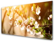 Obraz Akrylowy Kwiaty Roślina Natura