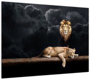 Obraz - Lew i lwica w chmurach (70x50 cm)