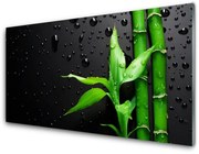 Panel Kuchenny Bambus Liście Roślina