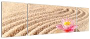 Obraz kamienia z kwiatem na piasku (170x50 cm)
