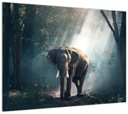 Obraz makaroników (70x50 cm)