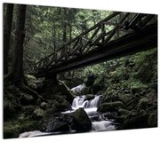 Obraz z czarnego lasu (70x50 cm)