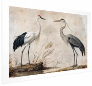 Plakat Ptaki z ryciny 60x40 cm bez ramy z marginesem ARTGEIST B