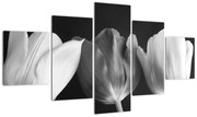 Obraz - Czarno - białe kwiaty tulipanów (125x70 cm)