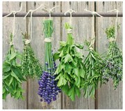 Szklana płyta ochronna LAWENDA na kuchenkę – duża, ZELLER