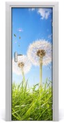 Naklejka samoprzylepna okleina Dmuchawce na łące