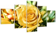 Obraz róży (125x70 cm)