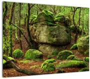 Obraz magicznego lasu (70x50 cm)