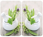 Szklane płyty ochronne HERB GARDEN na kuchenkę – 2 sztuki, WENKO