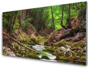 Panel Szklany Las Mech Natura